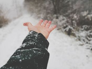 Cropped hand of person over snow during winter