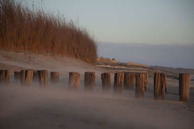 Wooden posts on snow covered land against sky during sunset