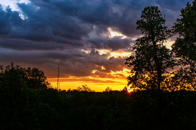 Silhouette trees on landscape against sky during sunset