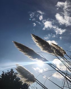 Low angle view of sky