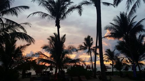 Silhouette palm trees against sky during sunset