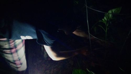 Close-up of fish swimming in the dark