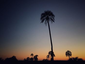 Silhouette palm trees against sky during sunset