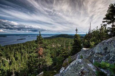 Scenic view of sea against forest against cloudy sky