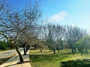 Scenic view of grassy field against sky