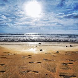 Scenic view of beach against cloudy sky