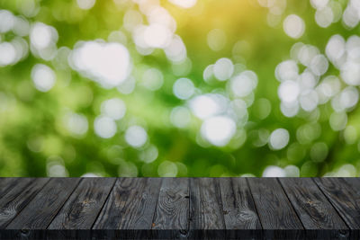 Close-up of wooden bench in park