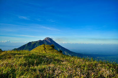 Scenic view of landscape against blue sky