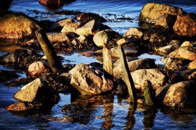 Rocks in sea