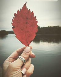 Close-up of hand holding autumn leaf in lake