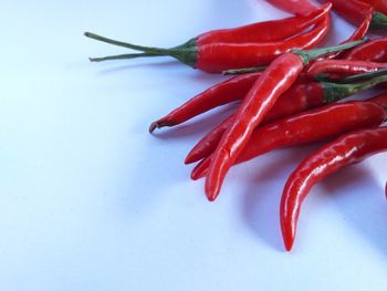 Close-up of red chili pepper against white background