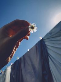 Cropped image of woman holding flower while standing by clothesline against sky