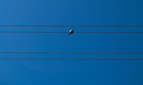 Low angle view of bird perching on electricity pylon against blue sky