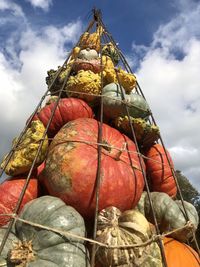 Low angle view of pumpkins against sky