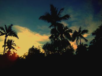 Low angle view of silhouette trees against sky during sunset