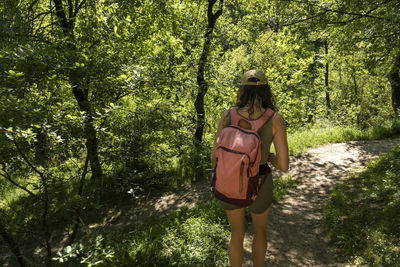 Mountaineer woman walking through the forest on a summer day