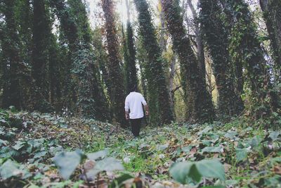 Rear view of woman walking in forest