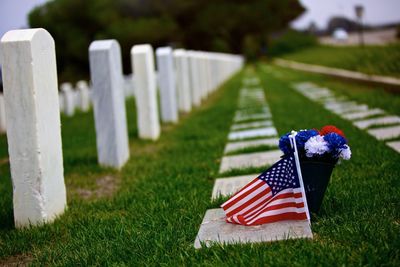 Flag on field at cemetery