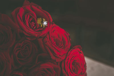 Close-up of red rose