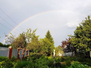 Rainbow over trees against sky