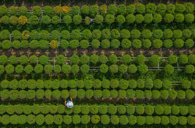 Full frame shot of patterned wall