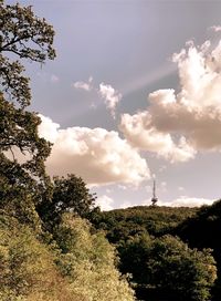 Low angle view of trees against sky