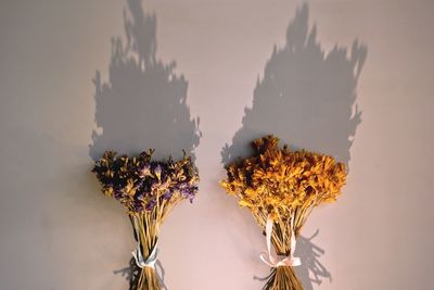 Close-up of dried plant in vase against wall