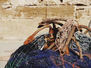 Close-up of rope tied up on wall