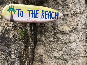 Close-up of text on tree trunk