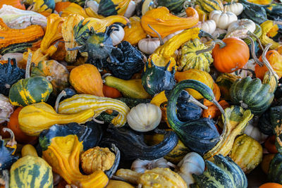 High angle view of pumpkins for sale at market