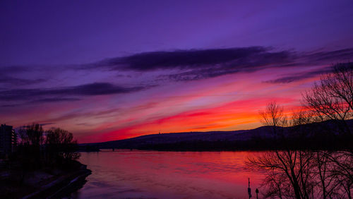 Silhouette of trees at sunset