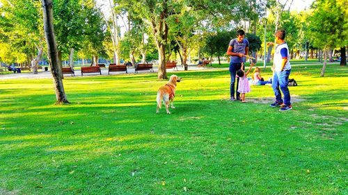 People walking in park