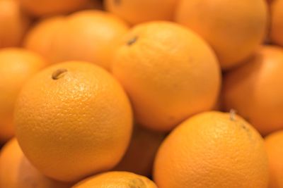 Close-up of oranges