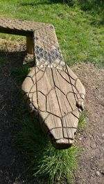 High angle view of tree stump on field