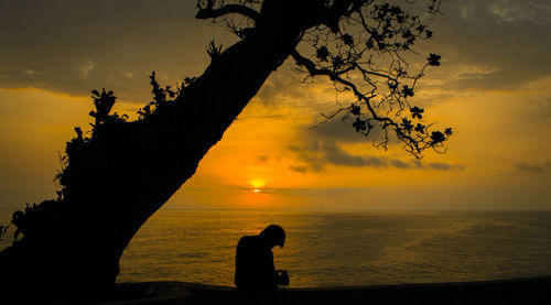 Silhouette tree on beach against sky during sunset