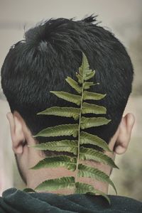 Rear view of man holding leaf
