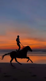Silhouette man riding horse against sky