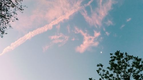 Low angle view of trees against sky