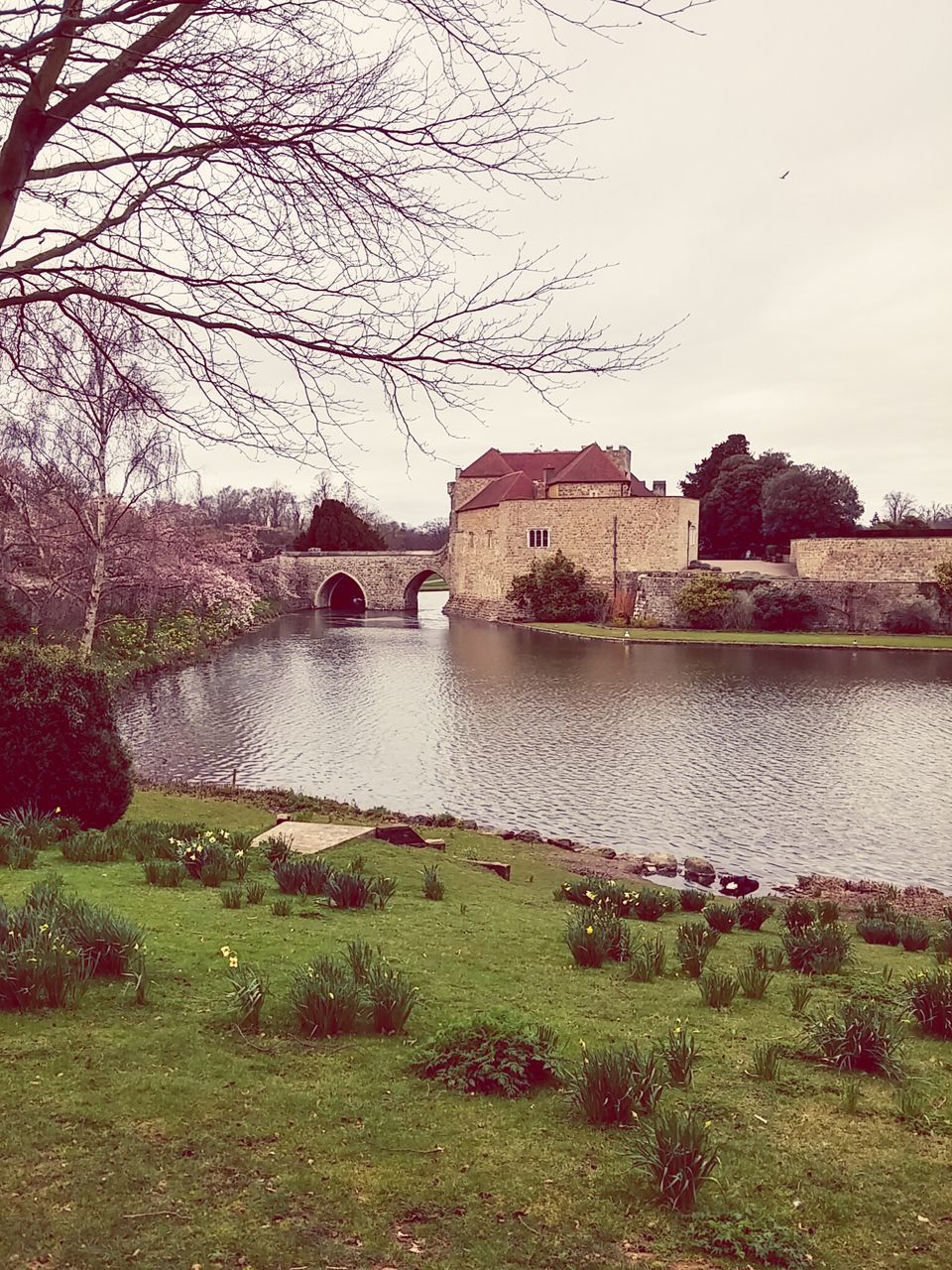 water, architecture, building exterior, built structure, tree, river, lake, sky, house, grass, nature, bare tree, day, tranquility, riverbank, plant, tranquil scene, lakeshore, outdoors, residential structure