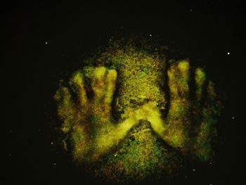 Close-up of illuminated lighting equipment