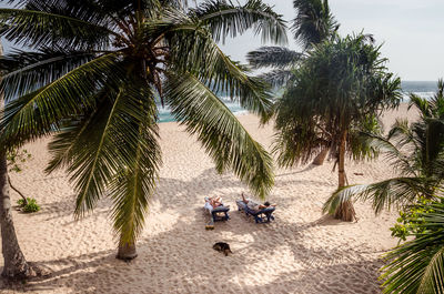 People by palm trees on beach against sky