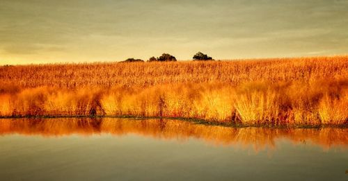 Scenic view of lake against sky during sunset