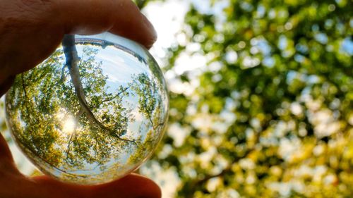 Close-up of person hand holding glass of crystal ball