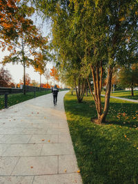 Man walking on footpath in park