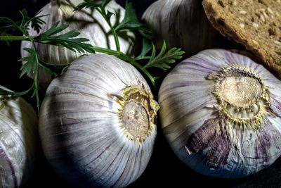 Close-up of garlic and cilantro