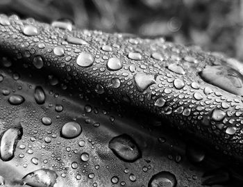 Close-up of raindrops on plastic in black and white 