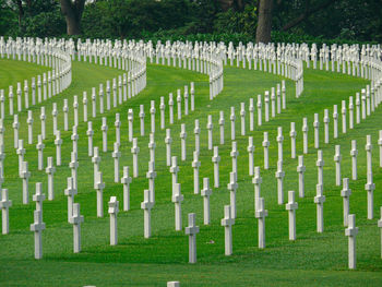 Tombstones in cemetery