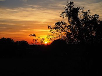 Silhouette trees against sky during sunset