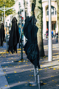Woman walking on footpath by street in city