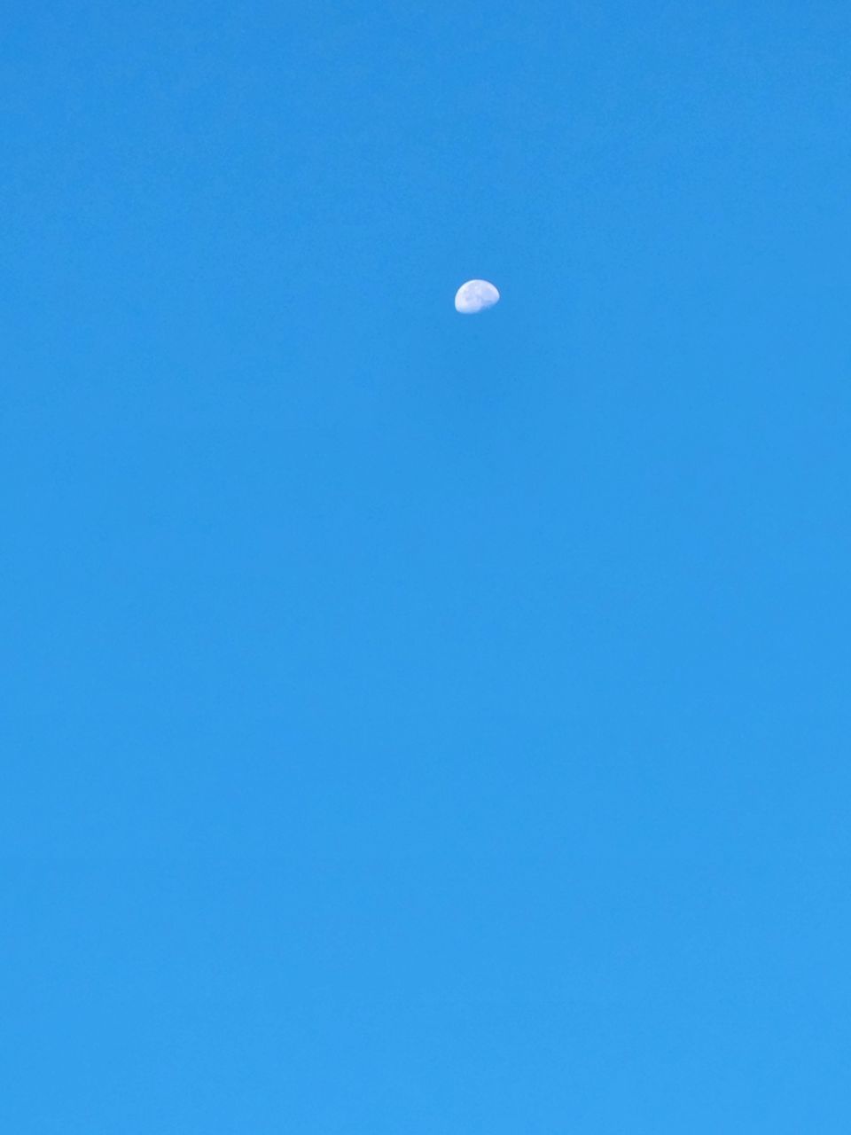 sky, blue, moon, clear sky, copy space, space, no people, beauty in nature, nature, low angle view, tranquility, scenics - nature, tranquil scene, astronomy, night, outdoors, idyllic, crescent, half moon, astronomical object, cloud